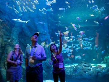 People looking at fish in aquarium.